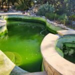 What do I do if my pool turns green?