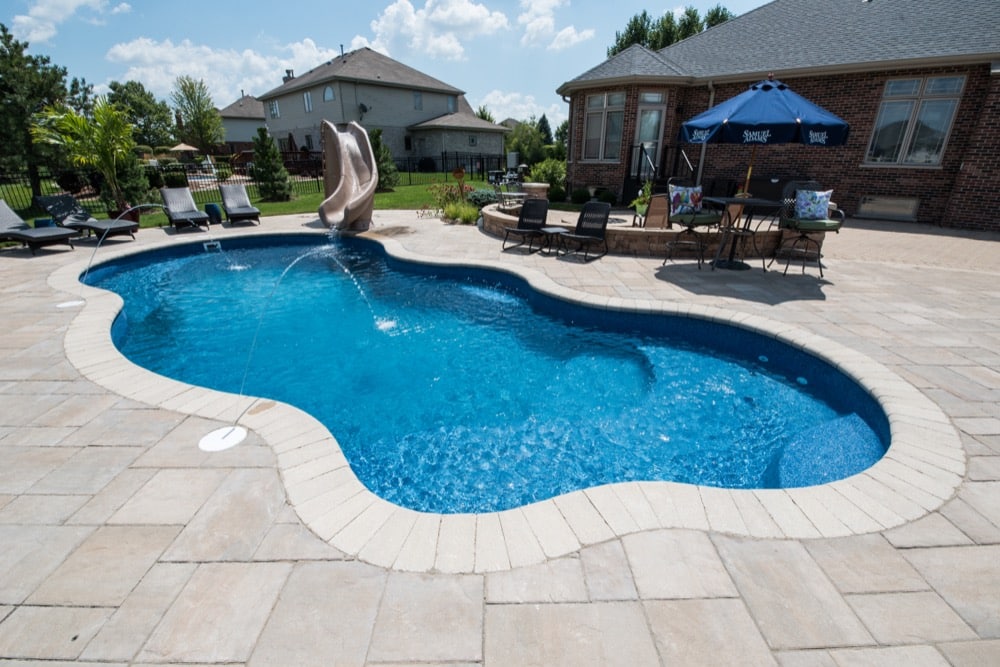 What do I do if I find a dead animal in my pool?