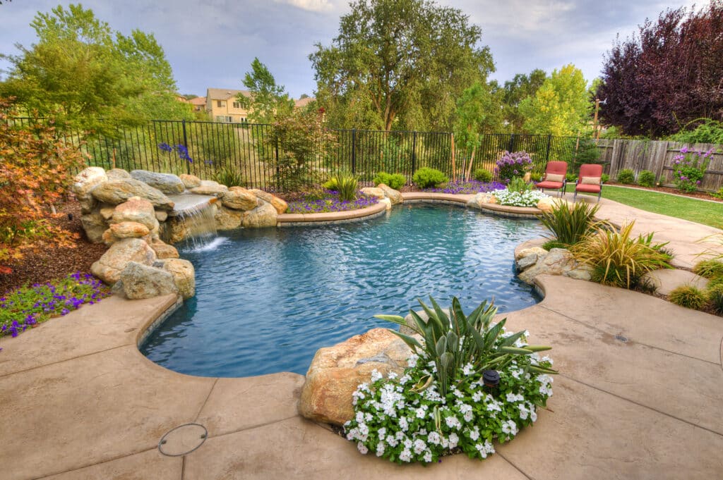 11 Best Plants for Around the Pool